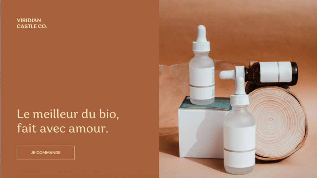 llustration d’un bouton CTA “Je commande” placé au centre d’une page web, avec un design coloré et visible.