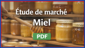 Lire la suite à propos de l’article Étude de marché du miel (PDF gratuit)