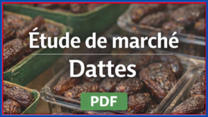 Lire la suite à propos de l’article Étude de marché des dattes (PDF gratuit)